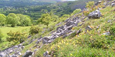 Allt Rhongyr - a dramatic nature reserve near the head of the Tawe Valley