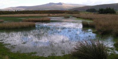 Traeth Bach
