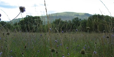 Wern Plemys is adjacent to Diamond Park, Ystradgynlais