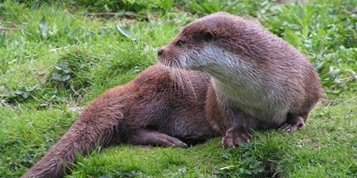 People's Postcode Lottery gave a generous donation to all the Welsh Wildlife Trusts